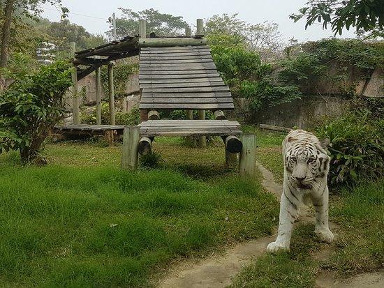 Shoushan Zoo